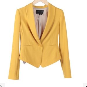 BCBG MaxAzria blazer